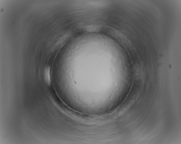 X0000071380028200606261424