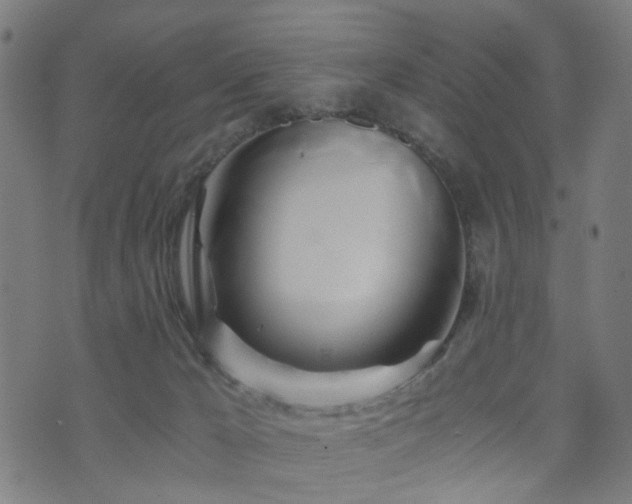 X0000071380029200606261424