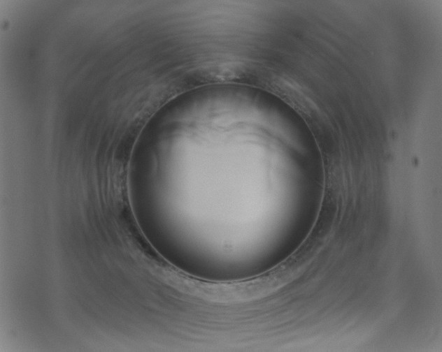 X0000071380030200606261424