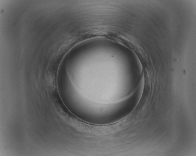 X0000071380031200606261424