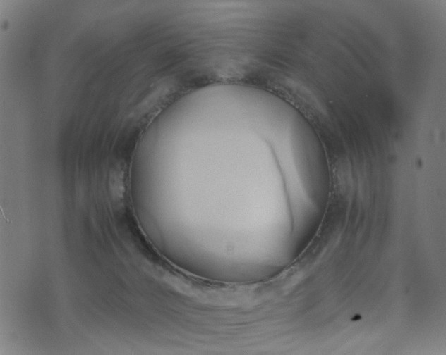 X0000071380032200606261424