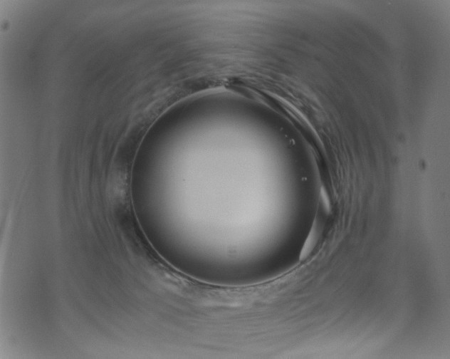 X0000071380033200606261424