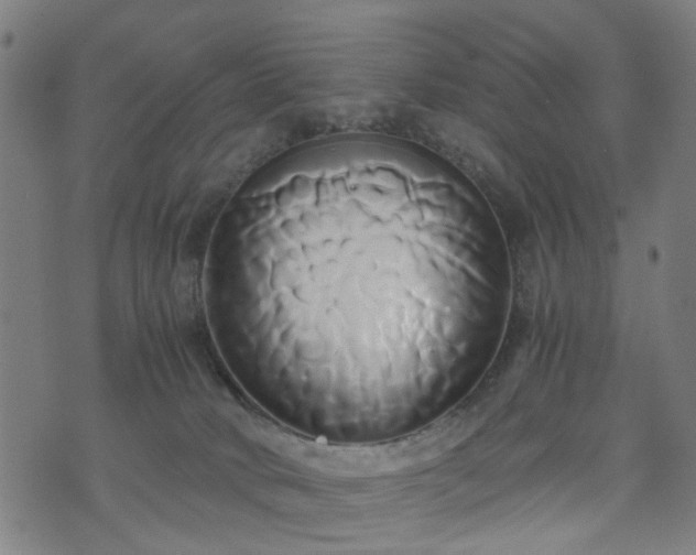 X0000071380034200606261424