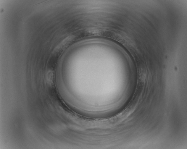 X0000071380036200606261424