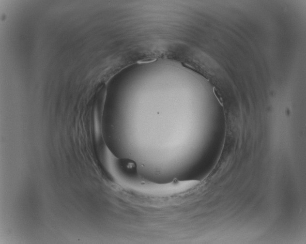 X0000071380037200606261424