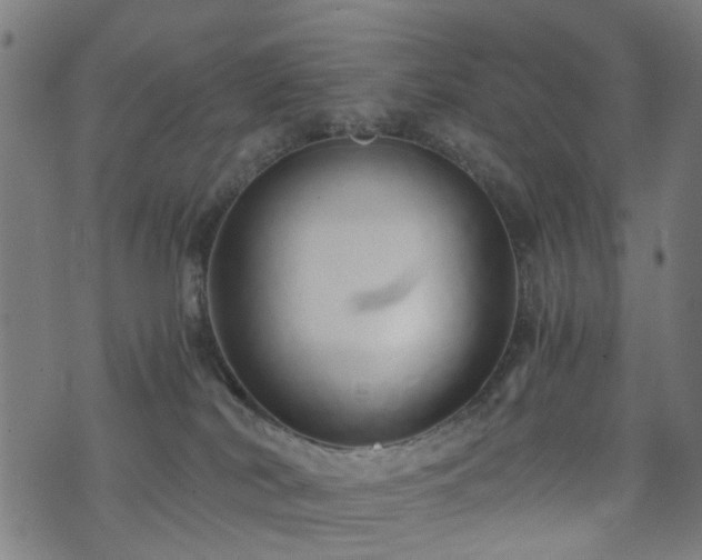 X0000071380038200606261424