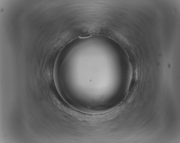 X0000071380039200606261424