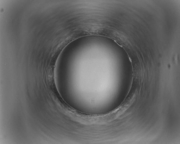 X0000071380040200606261424