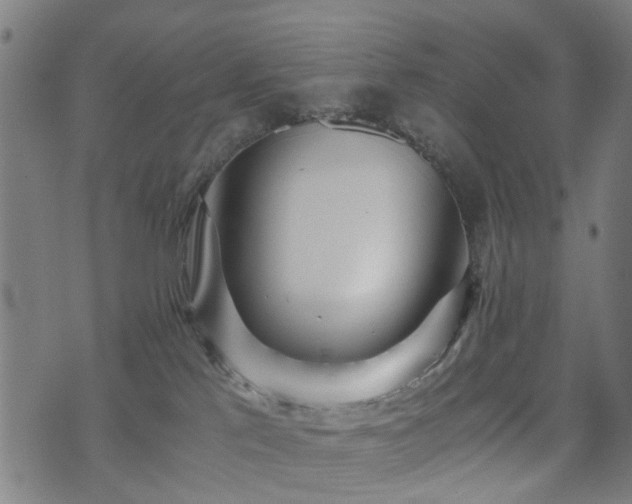 X0000071380041200606261424