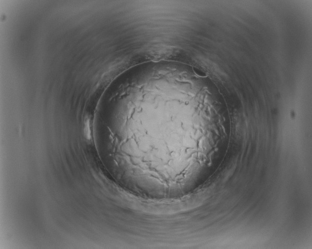 X0000071380042200606261424