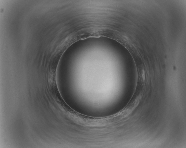 X0000071380044200606261424