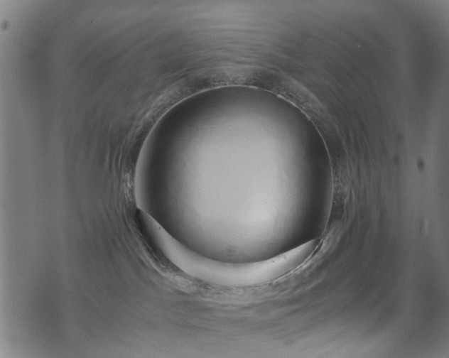 X0000071380045200606261424