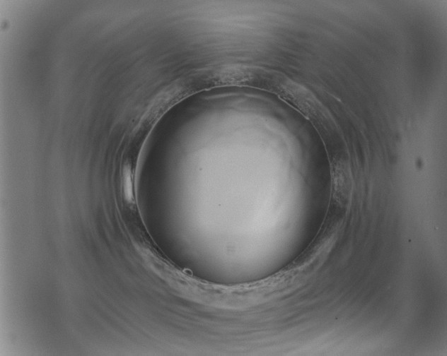 X0000071380046200606261424