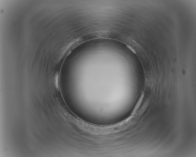 X0000071380047200606261424