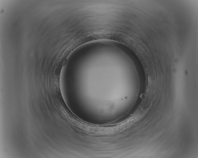 X0000071380048200606261424