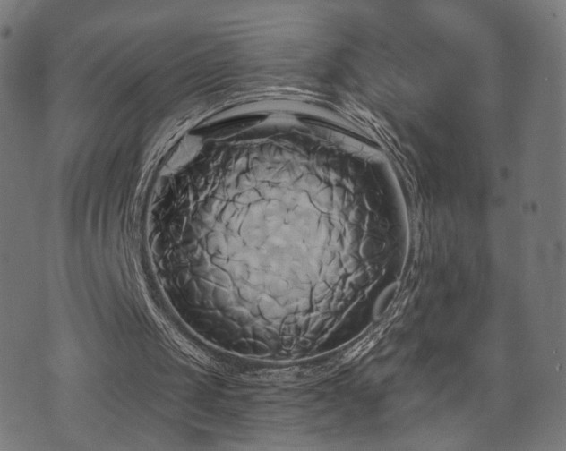 X0000071380049200606261423