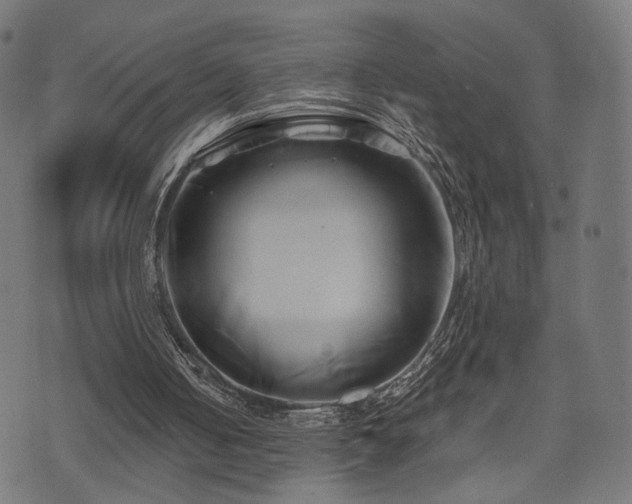 X0000071380050200606261423