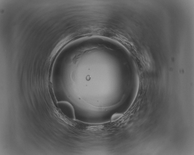 X0000071380051200606261423