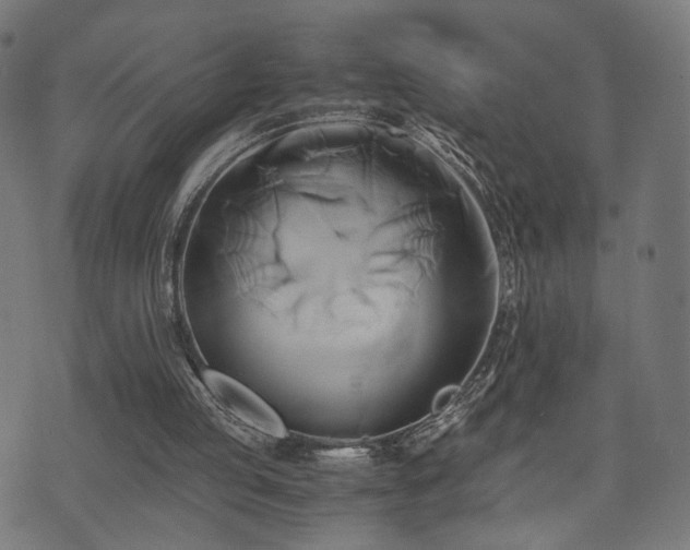 X0000071380053200606261423