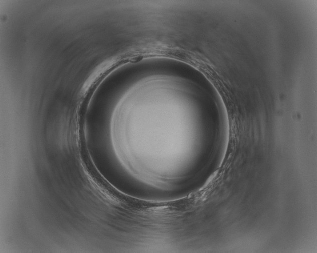 X0000071380054200606261423