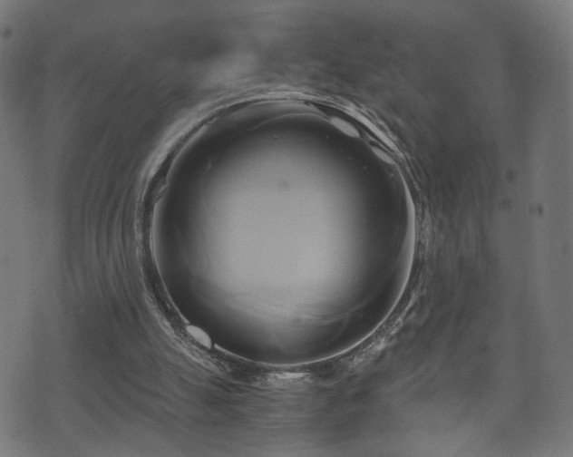 X0000071380055200606261423