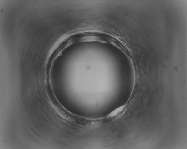 X0000071380056200606261423