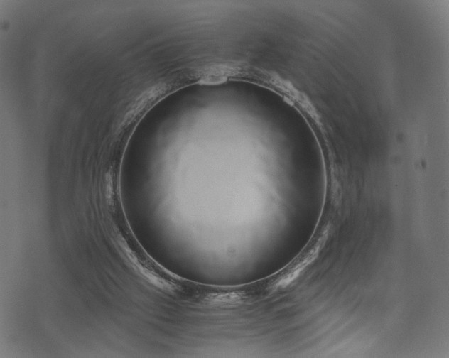 X0000071380057200606261423