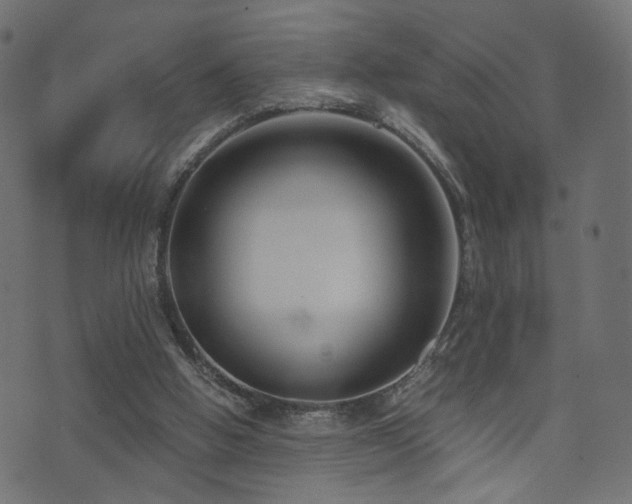 X0000071380058200606261423