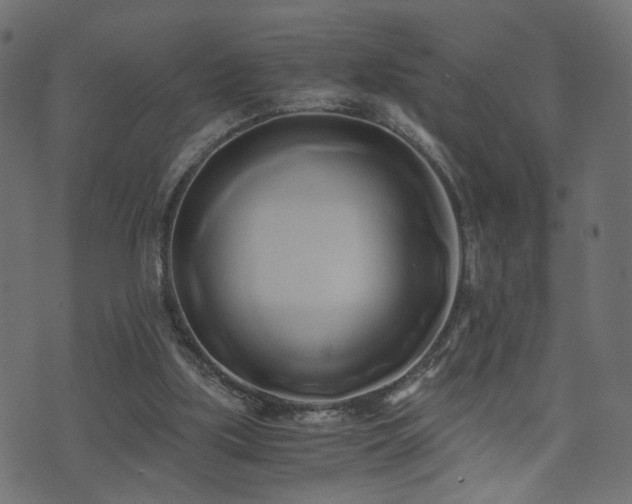 X0000071380059200606261424