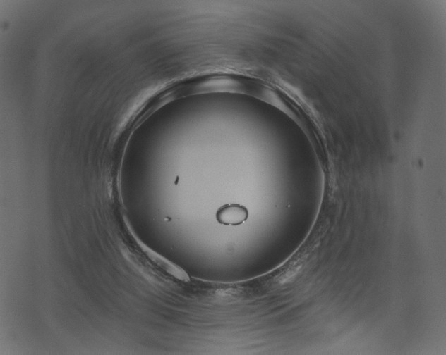 X0000071380060200606261424