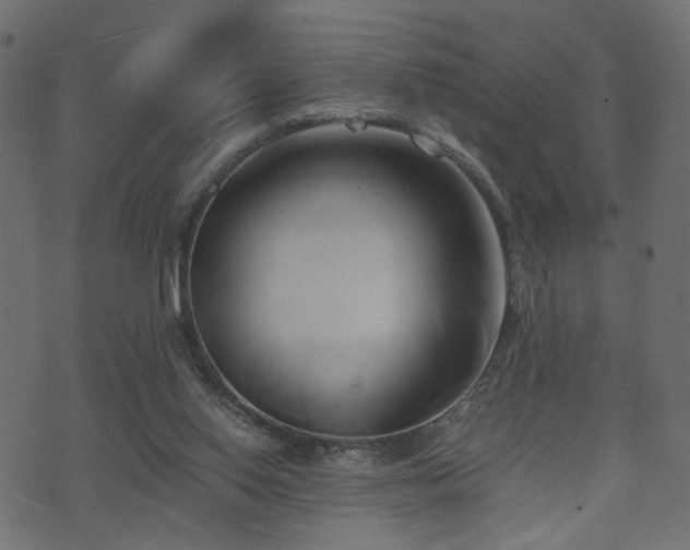 X0000071380062200606261424