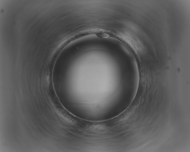 X0000071380063200606261424