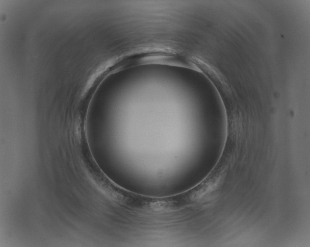 X0000071380064200606261424