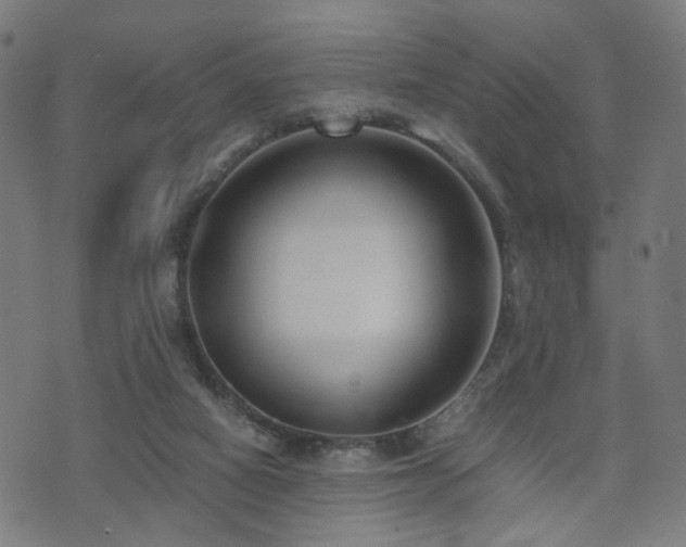 X0000071380066200606261424