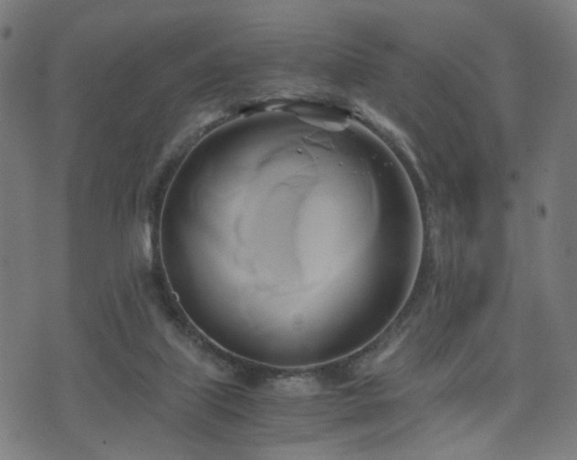 X0000071380067200606261424