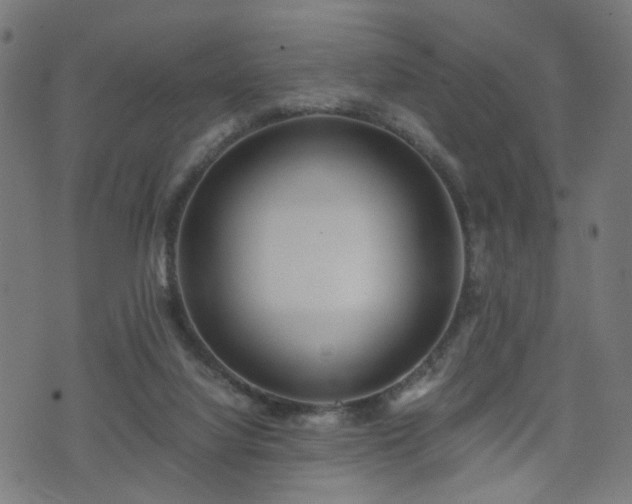 X0000071380068200606261424