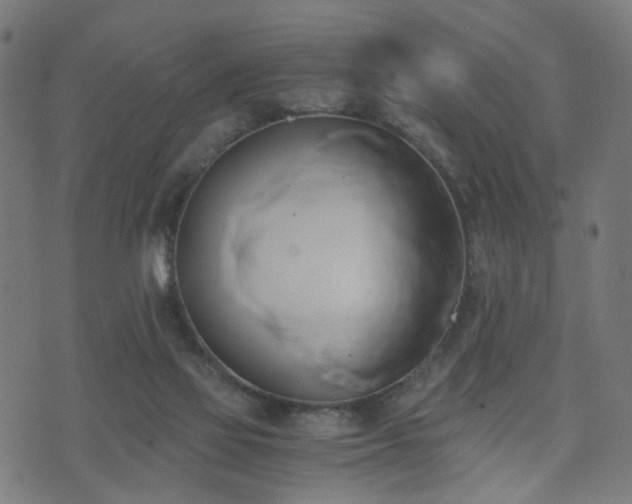 X0000071380069200606261424