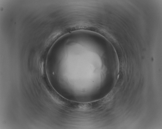 X0000071380070200606261424