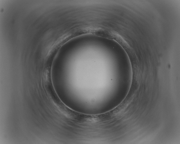 X0000071380071200606261424