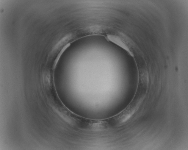 X0000071380072200606261424