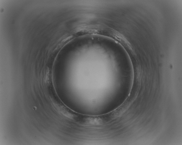 X0000071380073200606261424