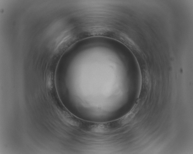 X0000071380074200606261424