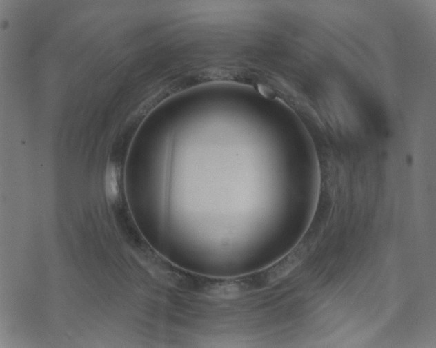 X0000071380075200606261424