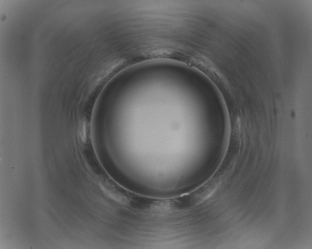 X0000071380076200606261424