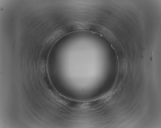 X0000071380078200606261424