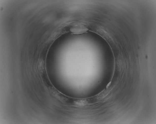 X0000071380079200606261424