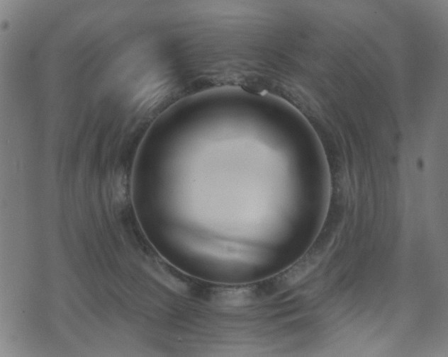 X0000071380081200606261424