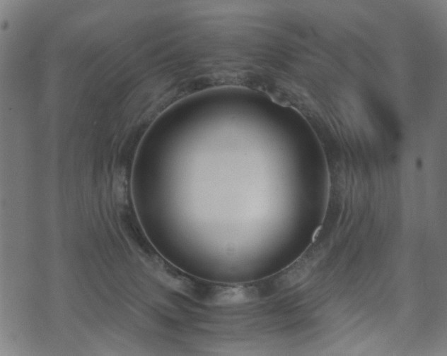 X0000071380083200606261424