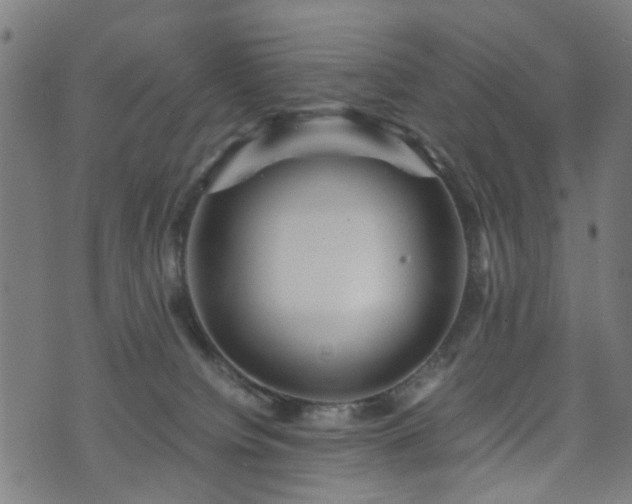 X0000071380084200606261424