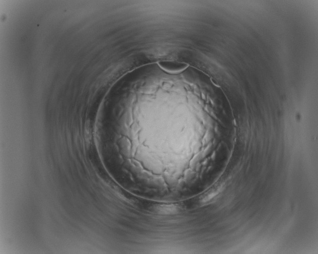 X0000071380085200606261424